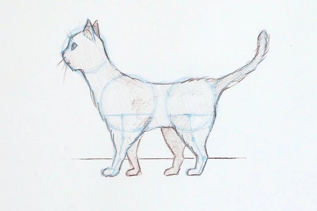 comment dessiner un chat